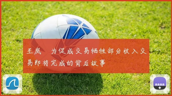 王岚嵚为促成交易牺牲部分收入交易即将完成的背后故事